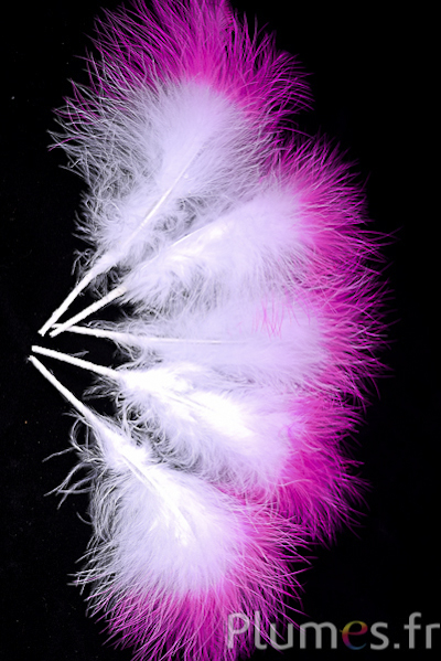 Plumet 3 plumes - hauteur 20 cm - blanc-fuchsia